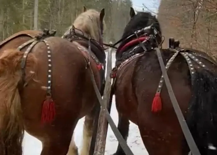 House Beskidy - Unikalny W Gorach, Balia, Sauna