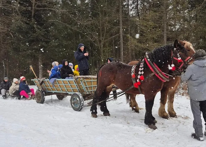 Apartmán House Beskidy - Unikalny W Gorach, Balia, Sauna Slemien